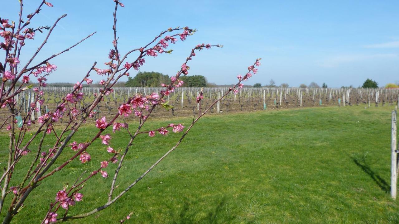 L'Ecrin Au Coeur Des Vignes Βίλα Saint-Georges-sur-Cher Εξωτερικό φωτογραφία